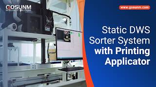 Static DWS Sorting System with Print & Apply Label Applicator