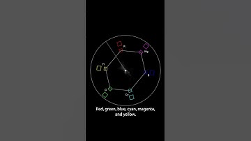 How to use a vectorscope to your, and your images, advantage
