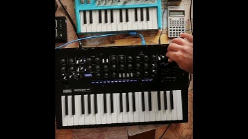 Korg Minilogue XD + Arturia Microbrute SE // Analog Jam