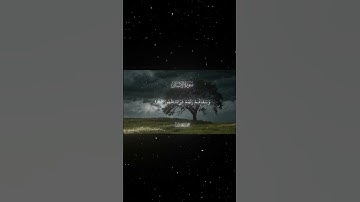 سورة الإنسان|18-22|القارئ:#محمد_اللحيدان #قران #quran #راحة_نفسية #قران_كريم#تلاوة_هادئة#تلاوة_خاشعة