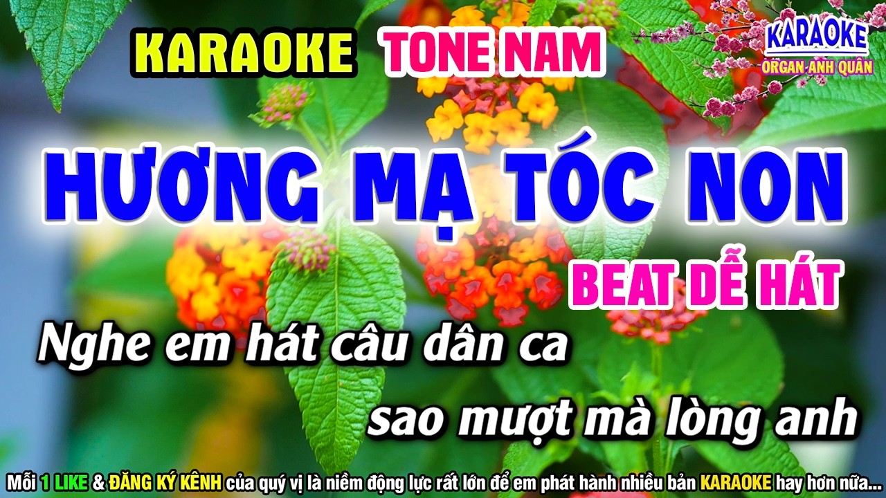 HƯƠNG MẠ TÓC NON Karaoke Tone Nam CHẤT LƯỢNG CAO - Beat Chuẩn Dễ Hát - Organ Anh Quân