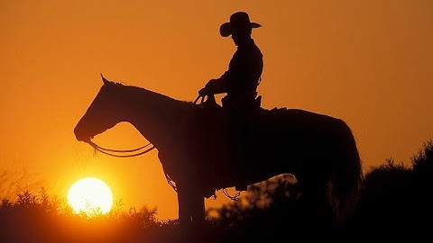 LEDS that will Count in Binary for the Embedded Electronics