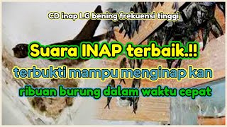 SUARA INAP BERKUALITAS DAN TERBAIK MP3 | CD INAP LG BENING SOLUSINYA