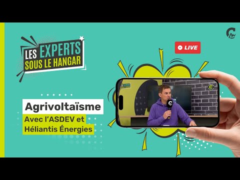 Les experts sous