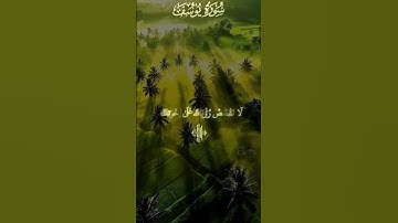 #بسم_الله_الرحمن_الرحيم #آيات #قرآن #اكسبلور #ترند #لايك #راحة_نفسية