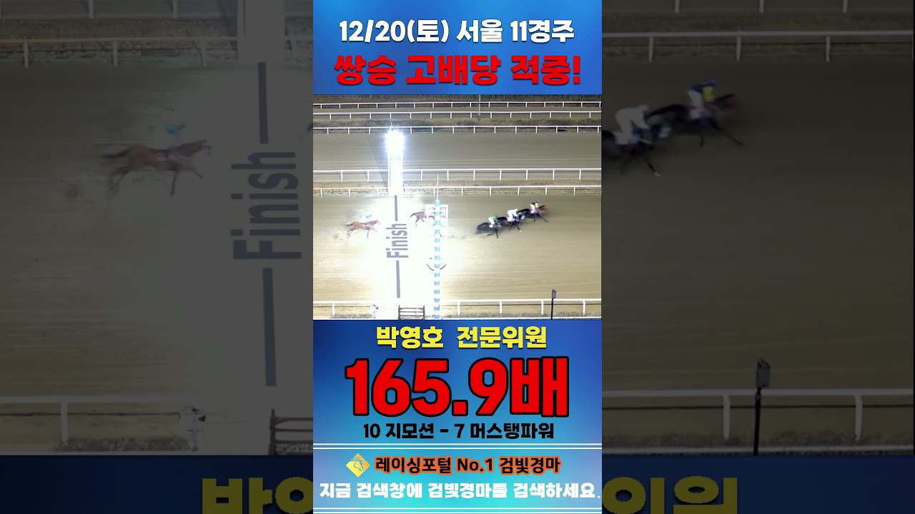[서울 경마] 12월 20일 토요 11경주 박영호 전문위원 쌍승 고배당 적중 #경마 #horse #한국마사회 #automobile #하이라이트 #horseracing
