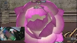 EPS 3 BUNGA MAWAR PINK