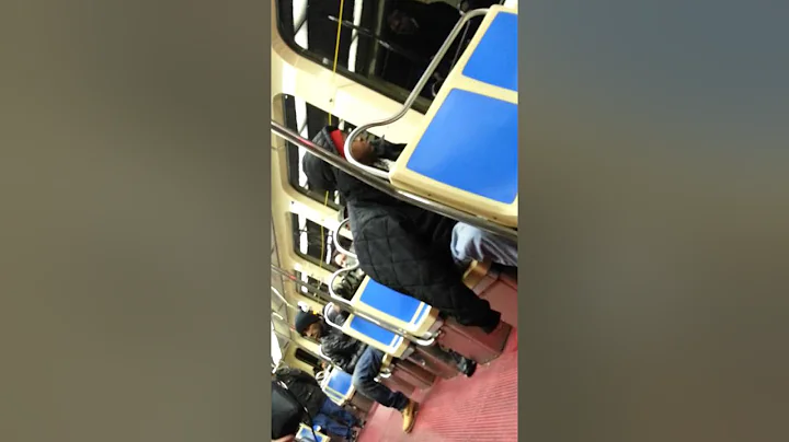Crazy lady talking to her own reflection