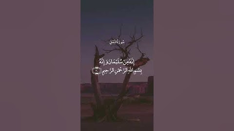 قالت يا أيها الملأ إني ألقي إلي كتاب كريم ۞ سورة النمل ۞ علي جابر