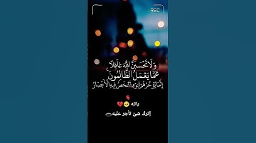 #قران_كريم #راحة_نفسية #تلاوة_خاشعة #لاإله_إلا_الله #duet #لايك #اكسبلور