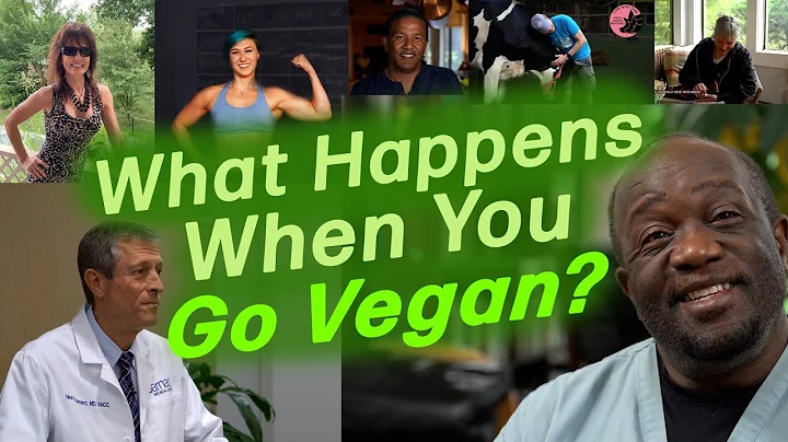 What Happens When You Go Vegan?  Series 1 Compilat...