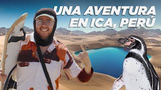 Una Aventura en PERÚ, Oasis de Huacachina, & Paracas 🇵🇪