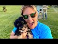 SURPRISING The Kids With A PUPPY