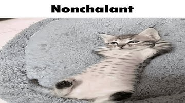 running ultrakill full game everyday until i get a gf (day 86)