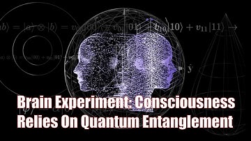 Brain Experiment: Consciousness Relies On Quantum Entanglement