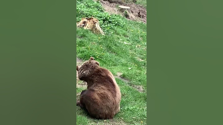 Ich treffe echte beten es eskaliert