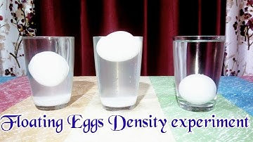 Floating Egg Density Experiment || Physics- Density & Buoyancy || PRO LEARNERS