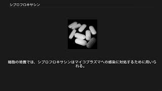 シプロフロキサシン