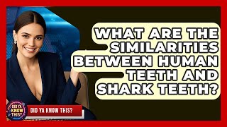 What Are the Similarities Between Human Teeth and Shark Teeth? - Did Ya Know This