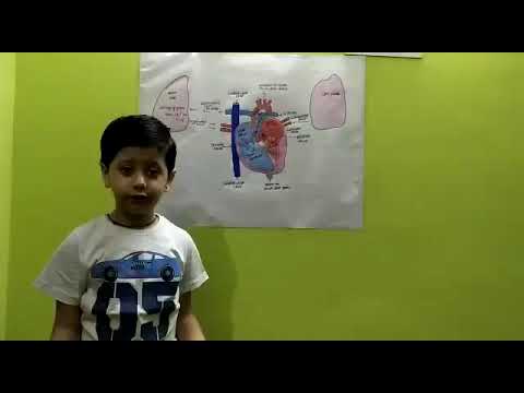 Vivaan Maheshwari  2G  Science Kids