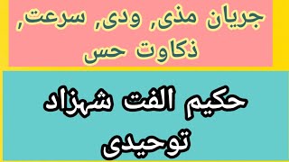 Jaryan E Mazi Waddi Suraat Zakawat Hk Ulfat Shahzad Tohedi