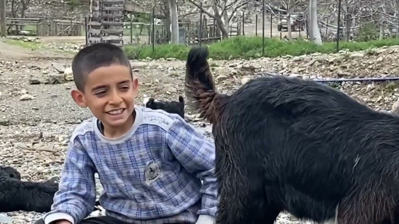 2023 Feke Bahçecik yeni görüntüler Bahar ayı (Yürü be haydar ve halil İbrahim eşliğinde )🤌