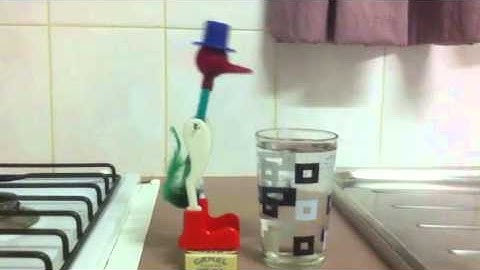 Amazing Drinking Bird