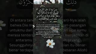 Download Lagu Surah Ar-Rum ayat 21 MP3
