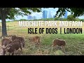 Mudchute park and farm  isle of dogs