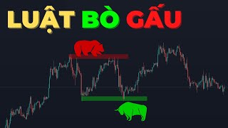 LUẬT BÒ GẤU - Học Phân Tích Kỹ Thuật ĐI TỪ BẢN CHẤT Với Price Action