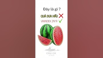 Tổng kết Vnindex phiên 29/9 #cophhieu #chungkhoan #vnindex #dautuchungkhoan