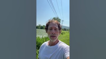 Thumbnail of Great Gordon Lightfoot songs and beautiful original ballads