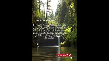 #تلاوة_خاشعة #قرآن كريم #Surah At-Tin  #95 #سورة التين#   Cheikh Aziz ALILI