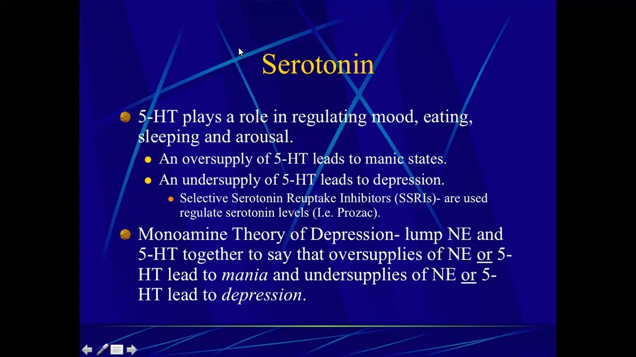 The Big Six: Acetylcholine, Serotonin, Norepinephrine, Dopamine, GABA and Glutamate