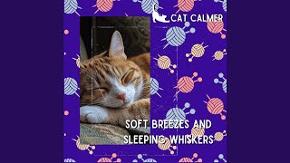 Rhythms for Relaxing Paws