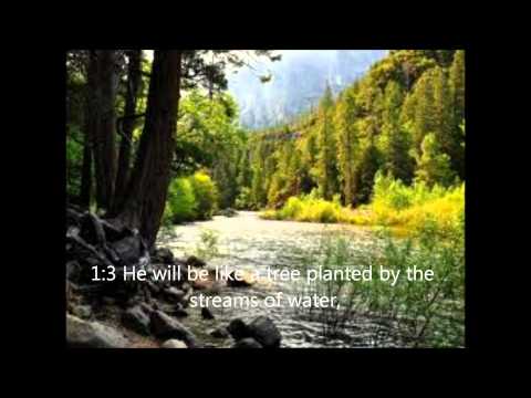 PSALMS 1 (hebrew)