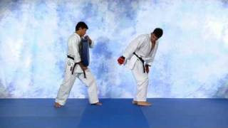 Machida spining kick.avi