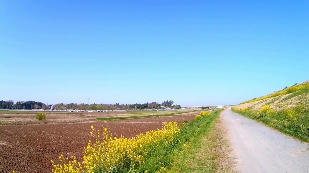 2017.0416　Walkera　Rodeo110　Speed Test