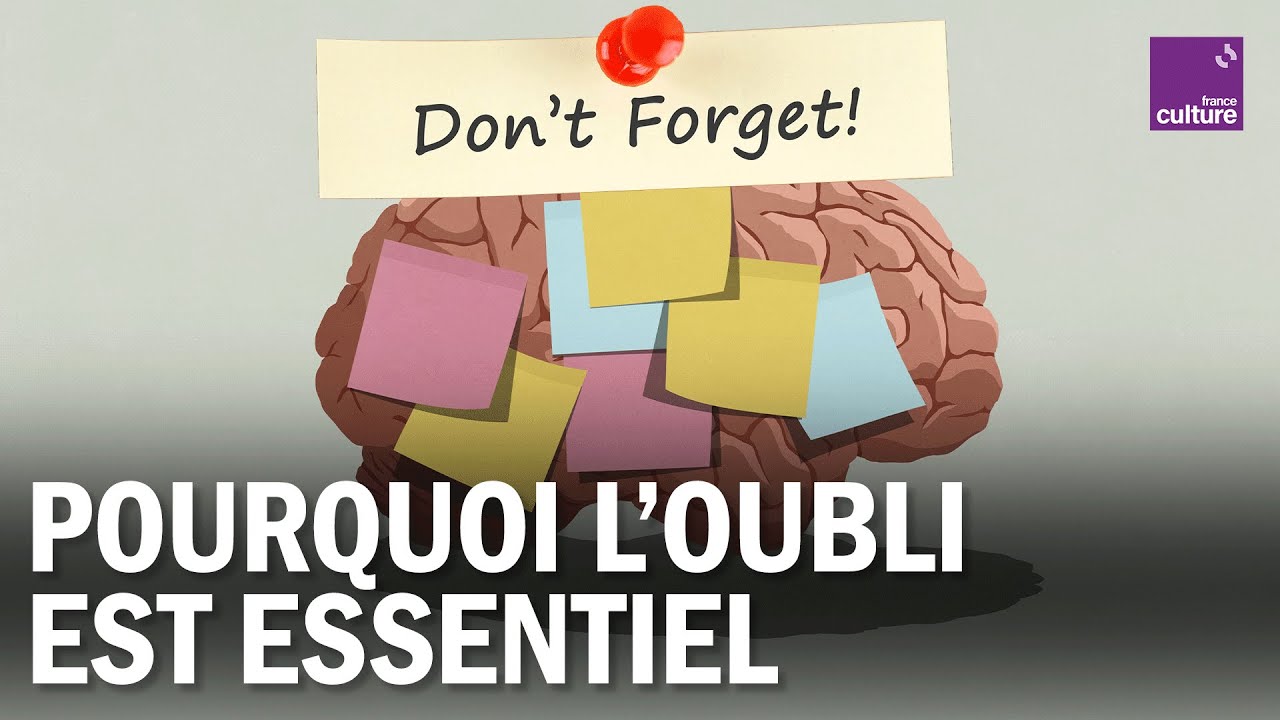 Pourquoi L'OUBLI EST ESSENTIEL à notre mémoire