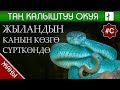 ЖЫЛАНДЫН КАНЫН КӨЗГӨ СҮРТКӨНДӨ ЭМНЕ БОЛГОН? ИБН КАСИР ОКУЯСЫ