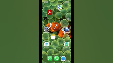 New IOS update 18 (iPhone version )