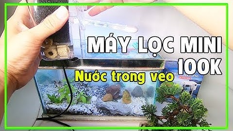 Máy Lọc Nước Mini Cho Hồ Cá Giá Rẻ 100K - Bể Cá Thủy Sinh Lọc Nước trong vắt