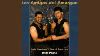 Baila Bachata - Los Amigos del Amargue