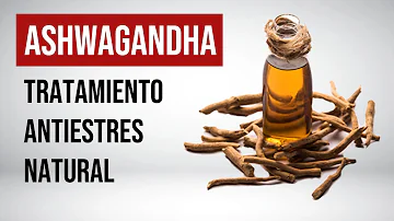 ¿La ashwagandha calma los nervios?