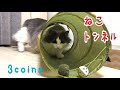 【3coins】猫用トンネル【ノルウェージャンフォレストキャット】