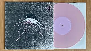 Raein / Daïtro – Split 10 2004