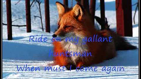 Lyrics- Black Fox