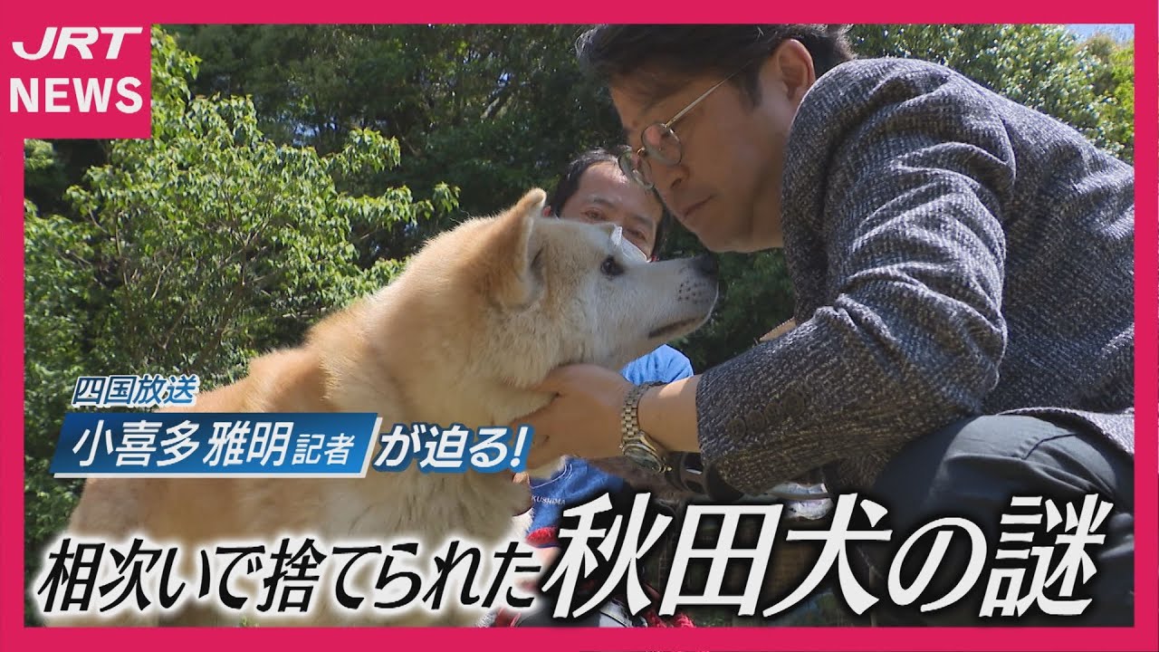 なぜ？相次いで捨てられた秋田犬の謎を追う