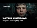 Sample breakdown yung lean  ginseng strip 2002