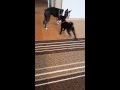 ハーネスが外れた！